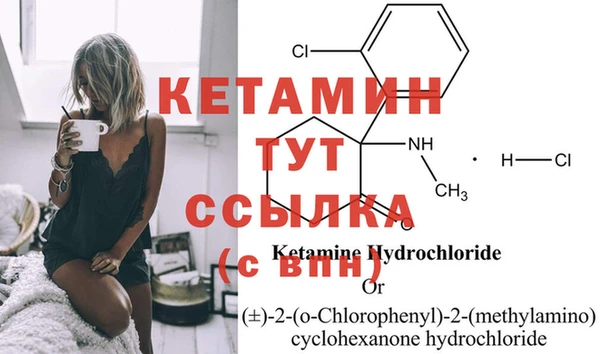 стафф Каменногорск