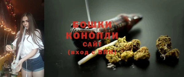 прущий лед Каменка
