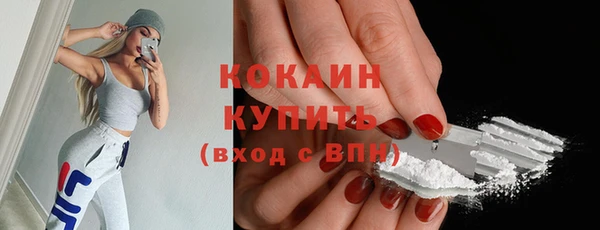 прущий лед Каменка