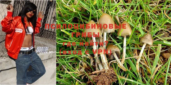 прущий лед Каменка