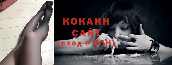 прущий лед Каменка