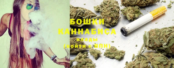 прущий лед Каменка