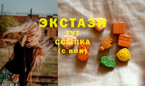 стафф Каменногорск