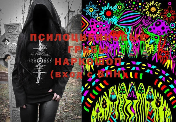 стафф Каменногорск