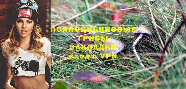 прущий лед Каменка