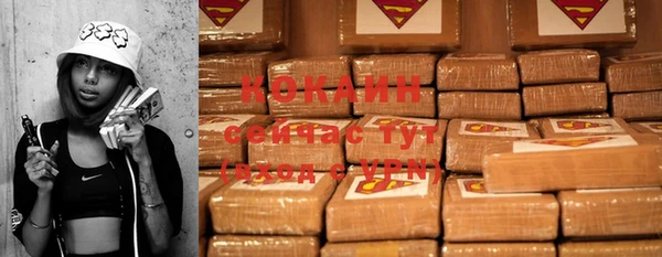 стафф Каменногорск