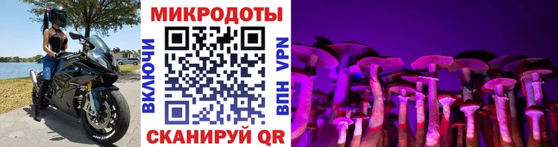 hydra вход  Катайск  Галлюциногенные грибы Magic Shrooms 